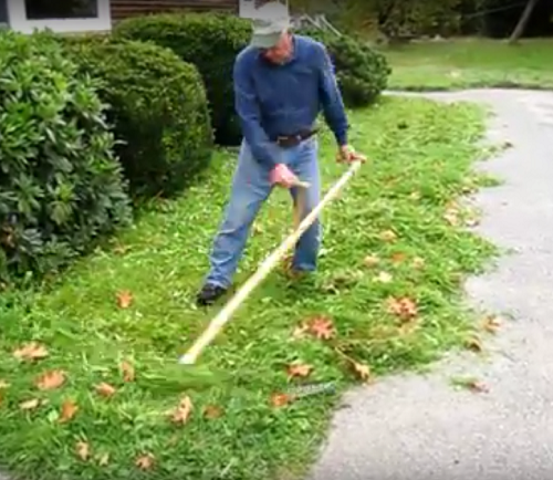 Video: Lawn mowing with a European scythe